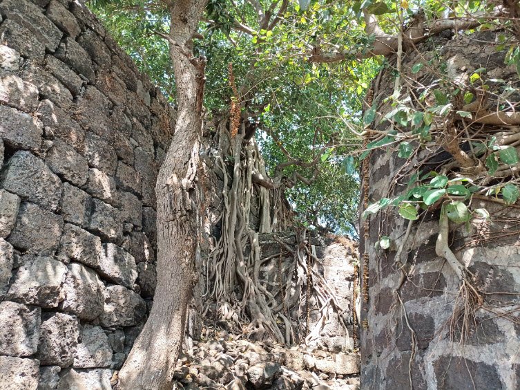 Bhavangad Fort/Bhondgad